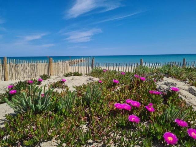 Confortable Studio Cabine - Acces Plage- Vue Mer 4Tvp38 Le Barcarès Kültér fotó